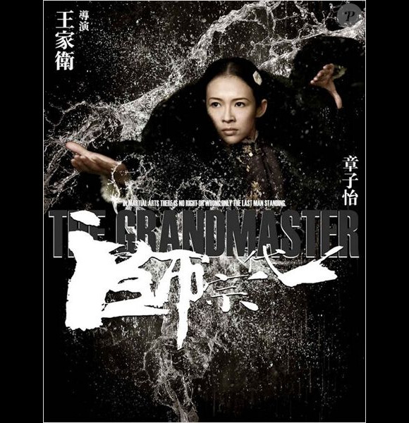 Affiche du film The Grandmaster avec Ziyi Zhang