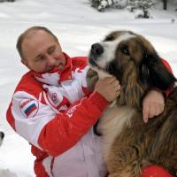 Vladimir Poutine : Tendre balade avec ses deux chiens avant de croiser les Femen