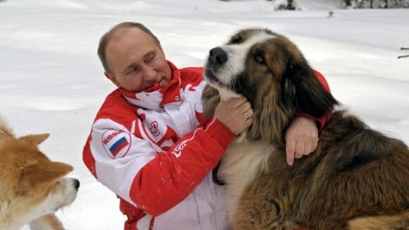 Vladimir Poutine : Tendre balade avec ses deux chiens avant de croiser les Femen