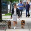 Jessica Biel fait une petite marche avec ses chiens à New York, le 22 mai 2013