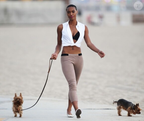 Montana Fishburne, la fille de Laurence Fishburne, se balade avec ses chiens à Santa Monica. Le 21 mai 2013.