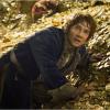 Le Hobbit : La Désolation de Smaug avec Martin Freeman