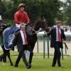 Prix de Diane Longines à l'hippodrome de Chantilly, le 16 juin 2013