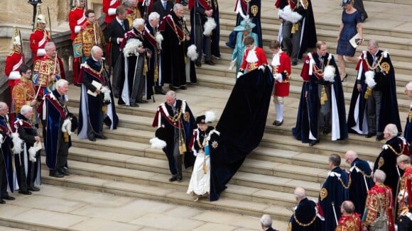 Elizabeth II : Epaulée par Charles et William pour le Jour de la Jarretière 2013