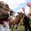 Le prince Charles et Camilla Parker Bowles, duchesse de Cornouailles, en visite au Royal Welsh Show le 24 juillet 2013 à Builth Wells, au Pays de Galles.