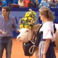Roger Federer : Sa nouvelle compagne, une vache baptisée Désirée