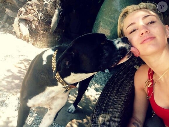 Miley Cyrus et sa chienne Mary Jane, le 13 juillet 2013 sur Twitter.