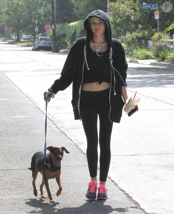 Exclusif - Miley Cyrus promène son chien Happy à Toluca Lake, le 1er aout 2013.