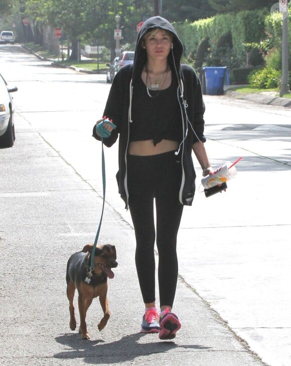 Exclusif - Miley Cyrus promène son adorable chien Happy à Toluca Lake, le 1er aout 2013.