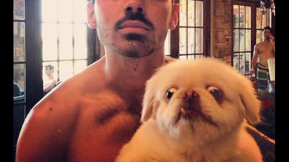 Joe Jonas : Torse nu et ami des bêtes quand sa belle-soeur poste son échographie