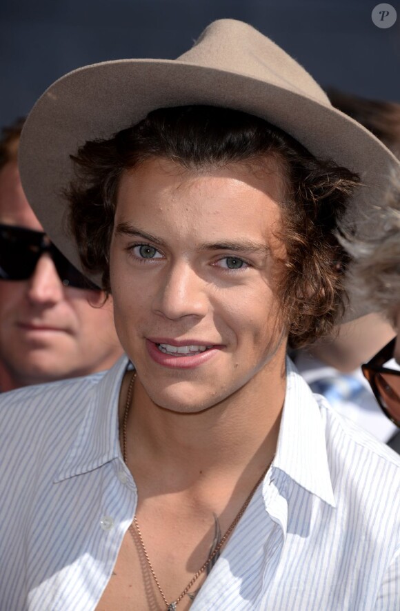 Harry Styles prend la pose sur le tapis rouge de la cérémonie des Teen Choice Awards, à Los Angeles, le 11 août 2013.