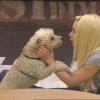 Florine in love de son Shakespeare dans Secret Story 7