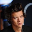 Harry Styles des One Direction aux MTV Video Music Awards 2013 à New York le 25 août 2013.