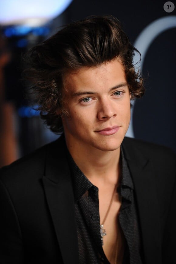 Harry Styles des One Direction aux MTV Video Music Awards 2013 à New York le 25 août 2013.