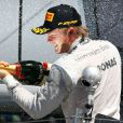 Nico Rosberg remporte le Grand Prix de Grande-Bretagne à Silverstone, le 30 juin 2013.