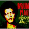 Bruno Mars est en tournée mondiale en 2013-2014 avec The Moonshine Jungle Tour.