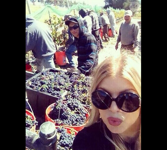 Fergie en famille dans les vignes de ses parents à Los Angeles, le 12 octobre 2013.