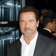 Arnold Schwarzenegger à New York le 16 ocotbre 2013