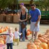 Tori Spelling et son époux Dean McDermott cherchent une citrouille chez Pumpkin Patch, avec leurs enfants Finn, Liam, Stella et Hattie à Los Angeles, le 13 octobre 2013.