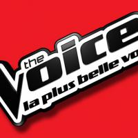 The Voice 3 : Une ex-starlette Disney passe les auditions incognito