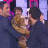 Cyril Hanouna se fait lécher le visage par le chien de Camille Combal dans l'émission Touche pas à mon poste du mardi 19 novembre 2013.