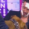 Cyril Hanouna se fait lécher le visage par le chien de Camille Combal dans l'émission Touche pas à mon poste du mardi 19 novembre 2013.