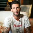 Adam Levine, le chanteur de Maroon 5 a été élu l'homme le plus sexy de 2013 par le magazine américain People.