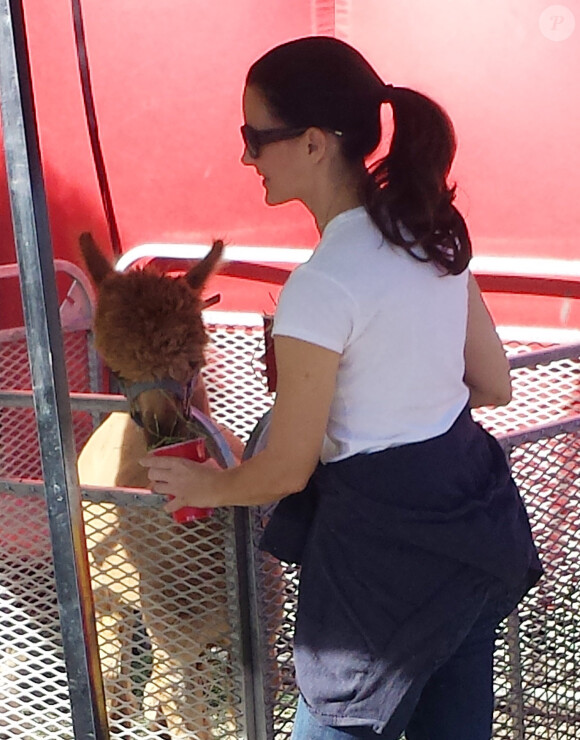 Exclusif - Kristin Davis, sa mère Dorothy et sa fille Gemma au Farmer's Market à Pacific Palisades, le 15 décembre 2013.
