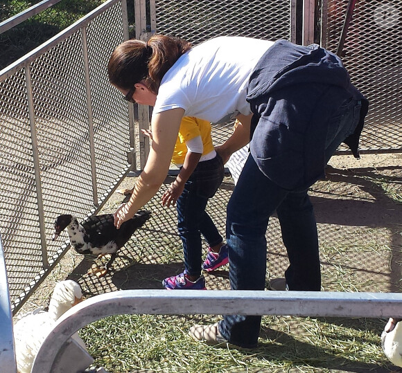 Exclusif - Kristin Davis, sa mère Dorothy et sa fille Gemma au Farmer's Market à Pacific Palisades, le 15 décembre 2013.
