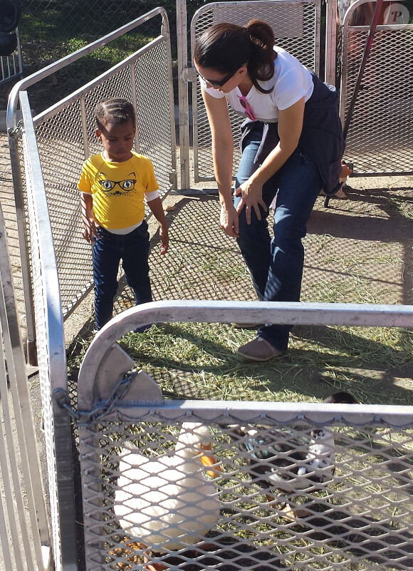 Exclusif - Kristin Davis, sa mère Dorothy et sa fille Gemma au Farmer's Market à Pacific Palisades, le 15 décembre 2013.