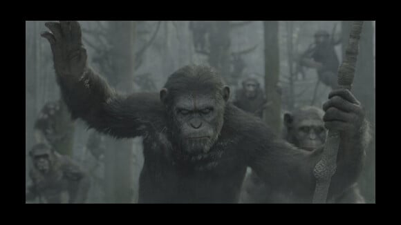 La Planète des singes - L'Affrontement : L'annonce d'une guerre sans merci
