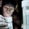 Bande-annonce de La Planète des singes : les origines (2011)