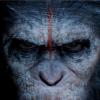 Affiche teaser du film La Planète des singes : l'affrontement