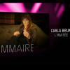 Carla Bruni dans "Alcaline, le Mag" sur France 2 le 16 janvier 2014.
