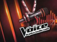 The Voice 3 : Cette voix étonnante fera-t-elle l'unanimité chez nos coachs ?