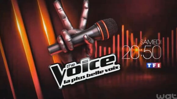 The Voice 3 : Cette voix étonnante fera-t-elle l'unanimité chez nos coachs ?