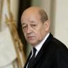 Jean-Yves Le Drian à l'Elysée, le 15 janvier 2014.