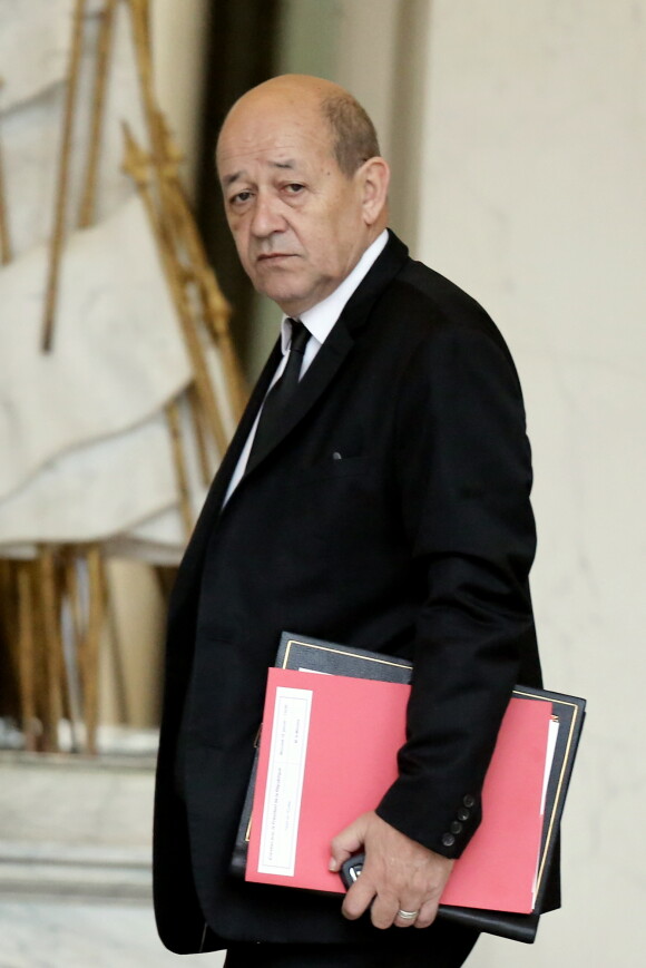 Jean-Yves Le Drian à l'Elysée, le 15 janvier 2014.