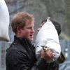 Le prince Harry s'est rendu, avec le prince William, à Datchet dans le Berkshire le 14 février 2014 pour aider l'armée à construire des digues pour faire face aux inondations qui sinistrent la région.