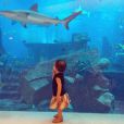 Liva, la fille de Jade Foret et Arnaud Lagardère, découvre des requins et des poissons exotiques. Février 2014.