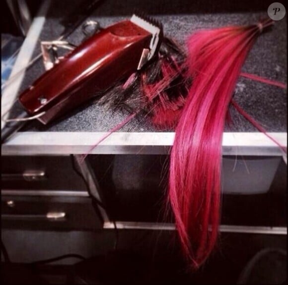 Demi Lovato s'est rasée la moitié du crâne et multiplie les selfies sur Instagram. Mars 2014.