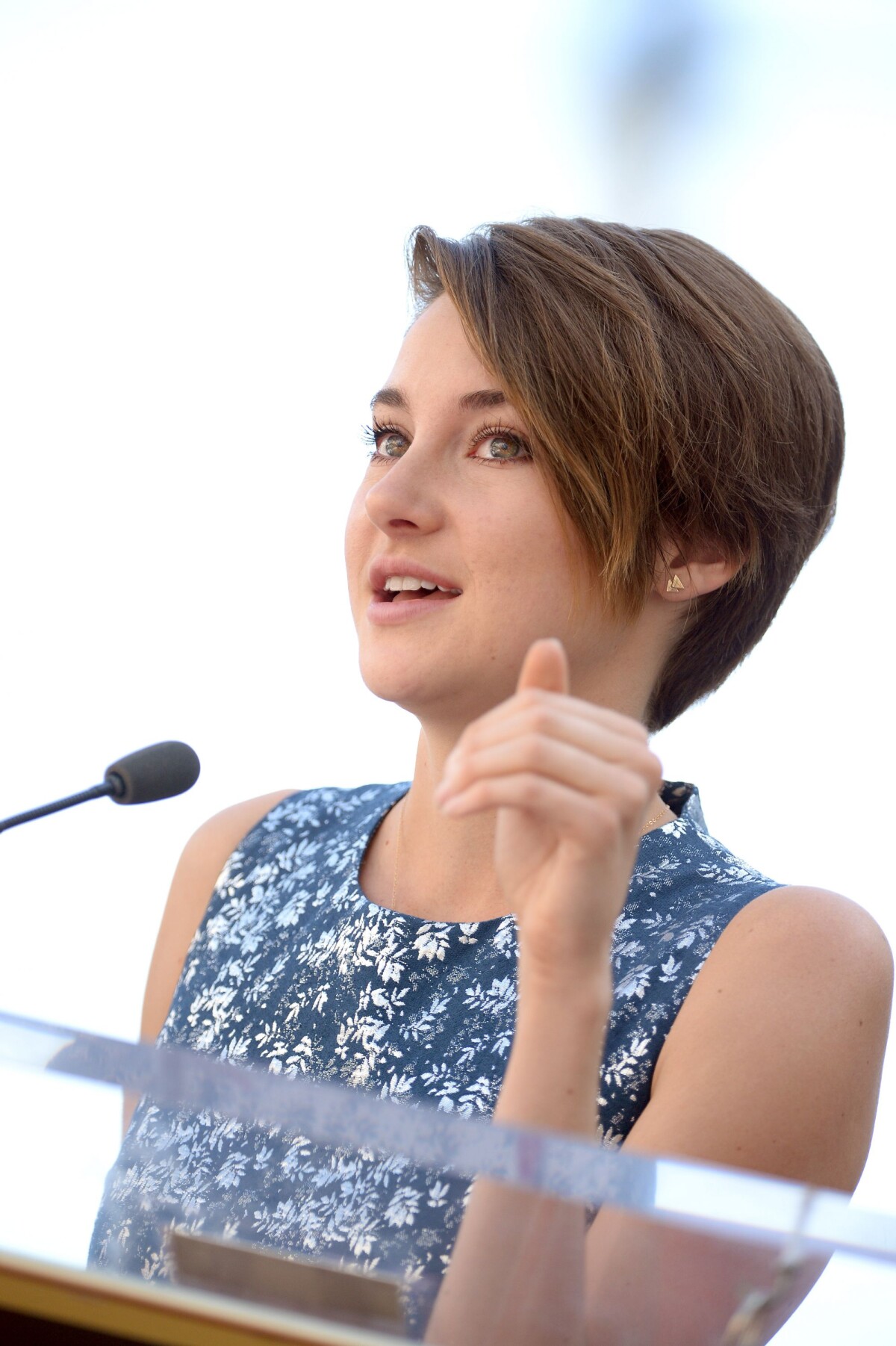 Photo : Shailene Woodley sur le Walk Of Fame à Hollywood, le 17 mars 2014.  - Purepeople