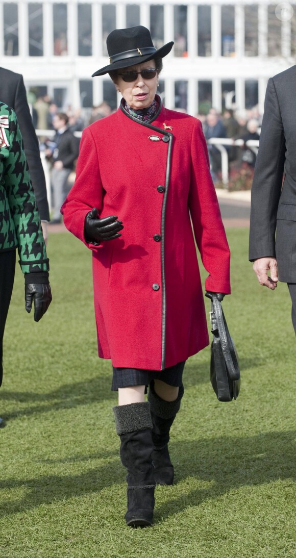 La princesse Anne à Cheltenham le 14 mars 2014.