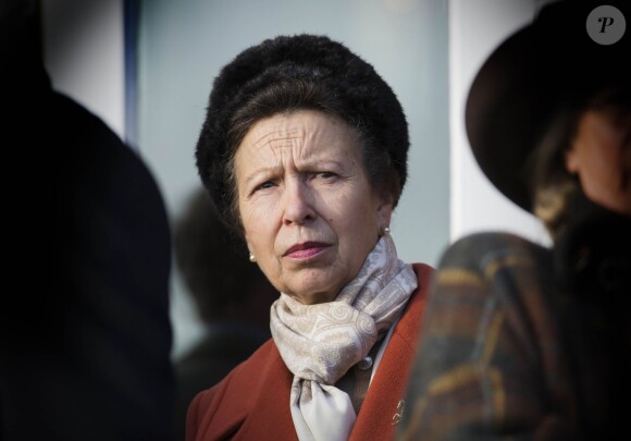 La princesse Anne à Newbury, le 30 novembre 2013.