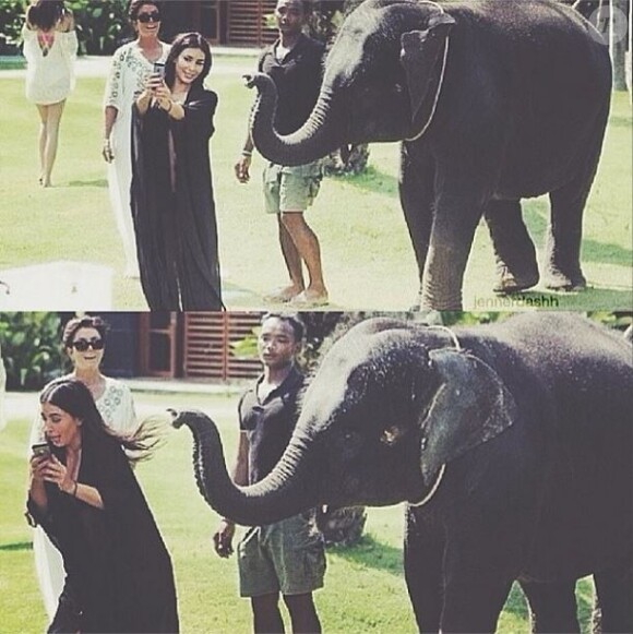 Kim Kardashian tente un selfie avec un bébé éléphant, qui n'était visiblement pas d'humeur à poser.