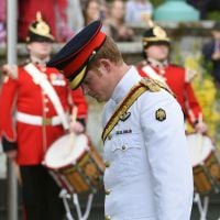 Prince Harry : Incursion hasardeuse sur Twitter, excursion solennelle en Estonie