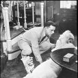 Marilyn Monroe au sol au cinéma... Dans la vraie vie, le Dr Ralph Greenson se serait penchée sur elle pour mettre fin à ses jours dans la nuit du 4 au 5 août 1962, selon la thèse de la conspiration soutenue par un nouvel ouvrage à paraître en juin 2014