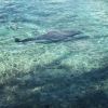 Marine Lorphelin : ses photos à Bora Bora