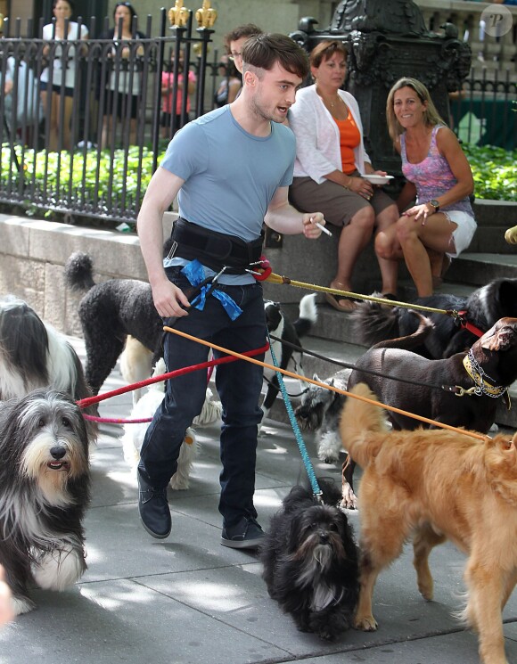 Daniel Radcliffe promènent des chiens sur le tournage de Trainwreck à Bryant Park, New York, le 30 juin 2014