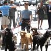Daniel Radcliffe promènent des chiens sur le tournage de Trainwreck à Bryant Park, New York, le 30 juin 2014